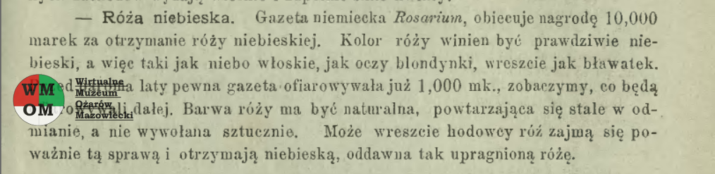 01-Ogrodnik-Polski-1901-nr-6-niebieska-roza