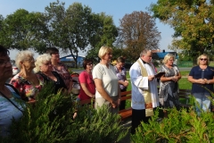Krzyż i figura w Święcicach, 8 września 2014 r.