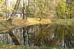 Dwa wiązy nad najmniejszym stawem w Parku Ołtarzewskim jesienią 2013 roku, fot. G L-Z