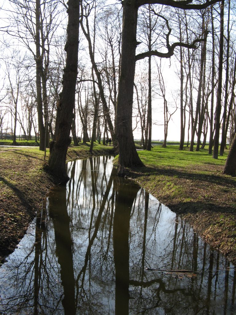 Kanał Ożarowski w Parku Ołtarzewskim tuż po oczyszczeniu w 2010 roku, zb. G L-Z