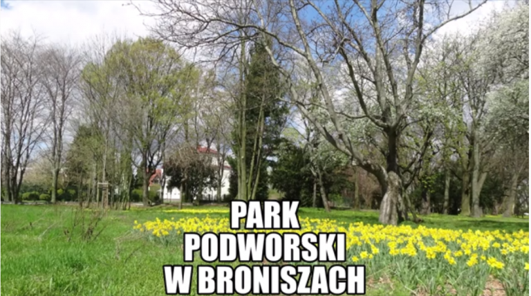 Read more about the article Park podworski w Broniszach
