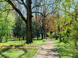 Wiosna 2023 w Parku w Broniszach