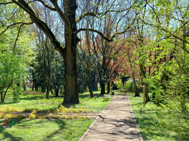 Wiosna 2023 w Parku w Broniszach